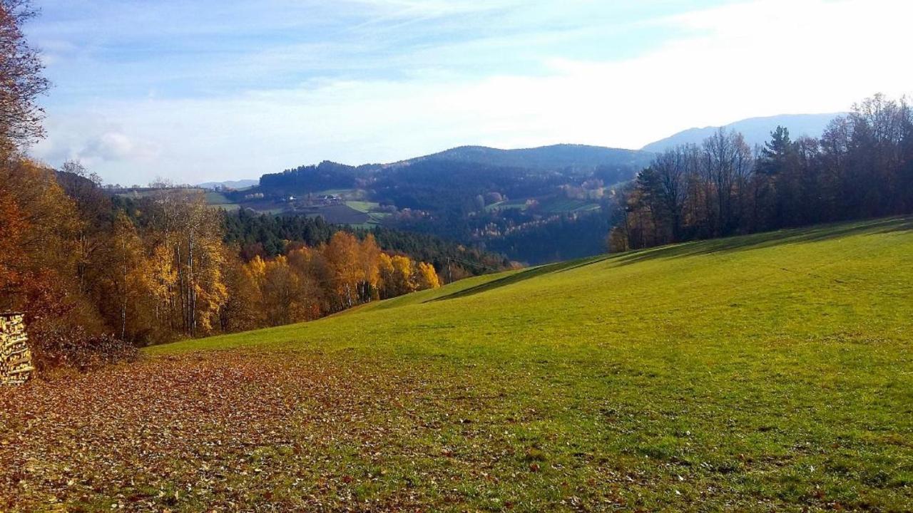 Ferienwohnungen Weghofer F**** Viechtach Luaran gambar